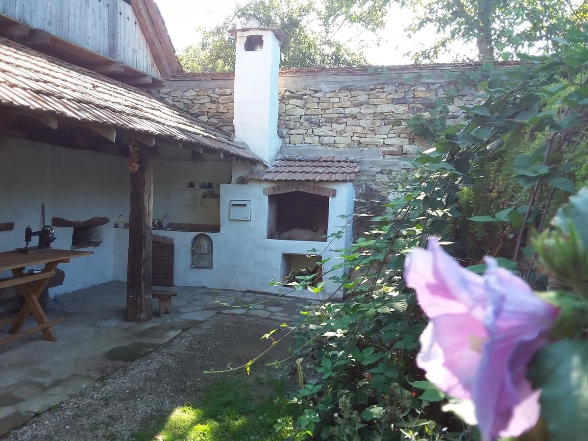 Загородные дома Casa din Şona Şona-19