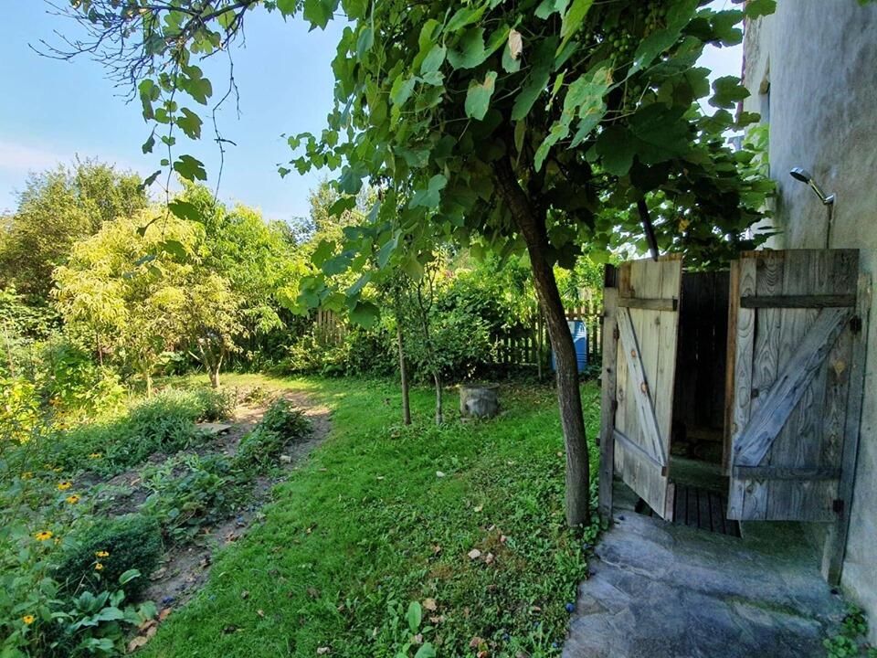 Загородные дома Casa din Şona Şona-9